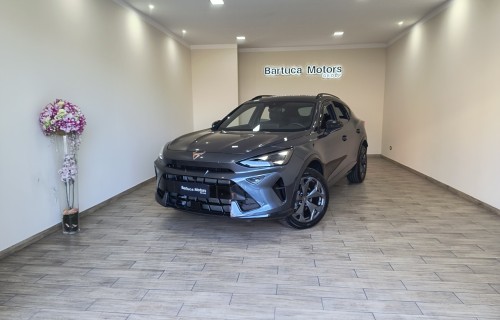 Cupra Formentor 2.0 TDI 150 Cv DSG